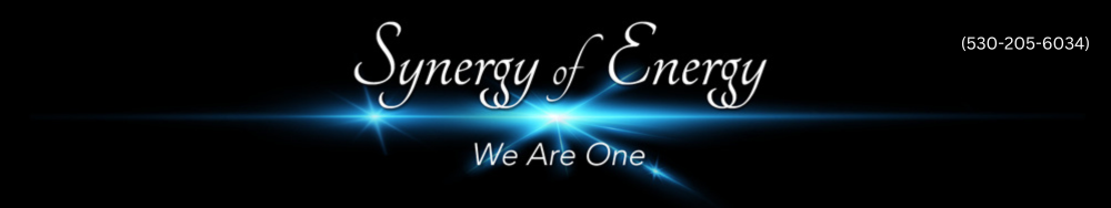 Header Image of 'Synergy of Energy'.