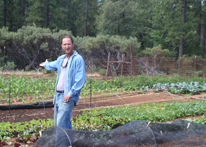 Ricco in farm
