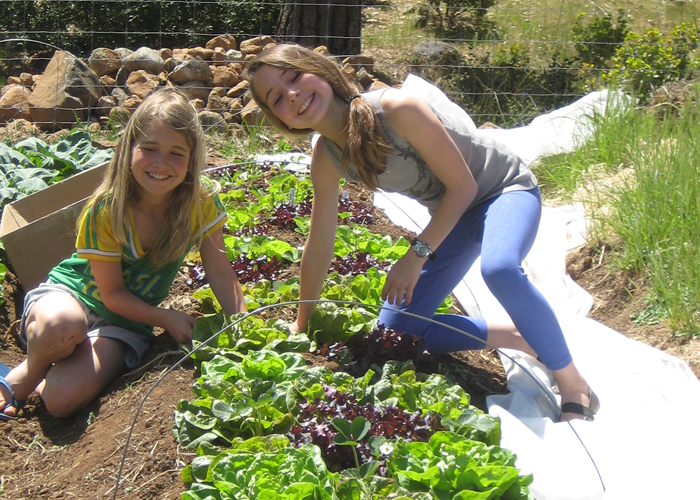 Children planting