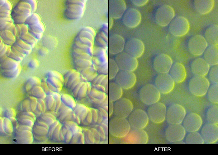 Before and after session